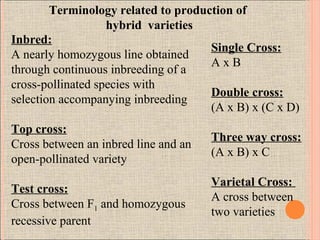 Breeding methods in cross pollinated crops Slide 32