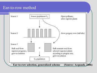Ear-to-row method
Ear-to-row selection, generalized scheme (Source: Acquaah, 2006)
 