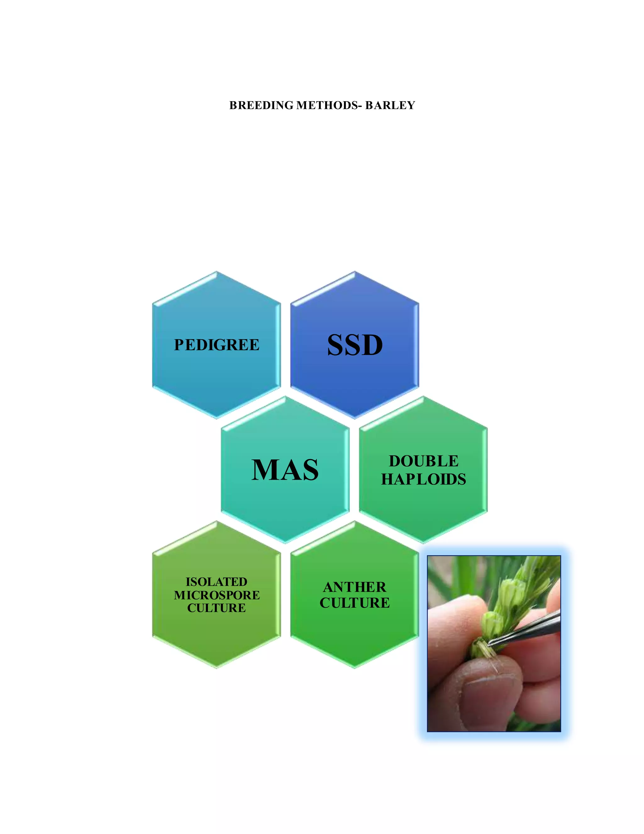 Breeding Methods Shalu PDF Breeding methods shalu pdf