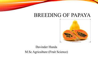 BREEDING OF PAPAYA
Davinder Handa
M.Sc Agriculture (Fruit Science)
 