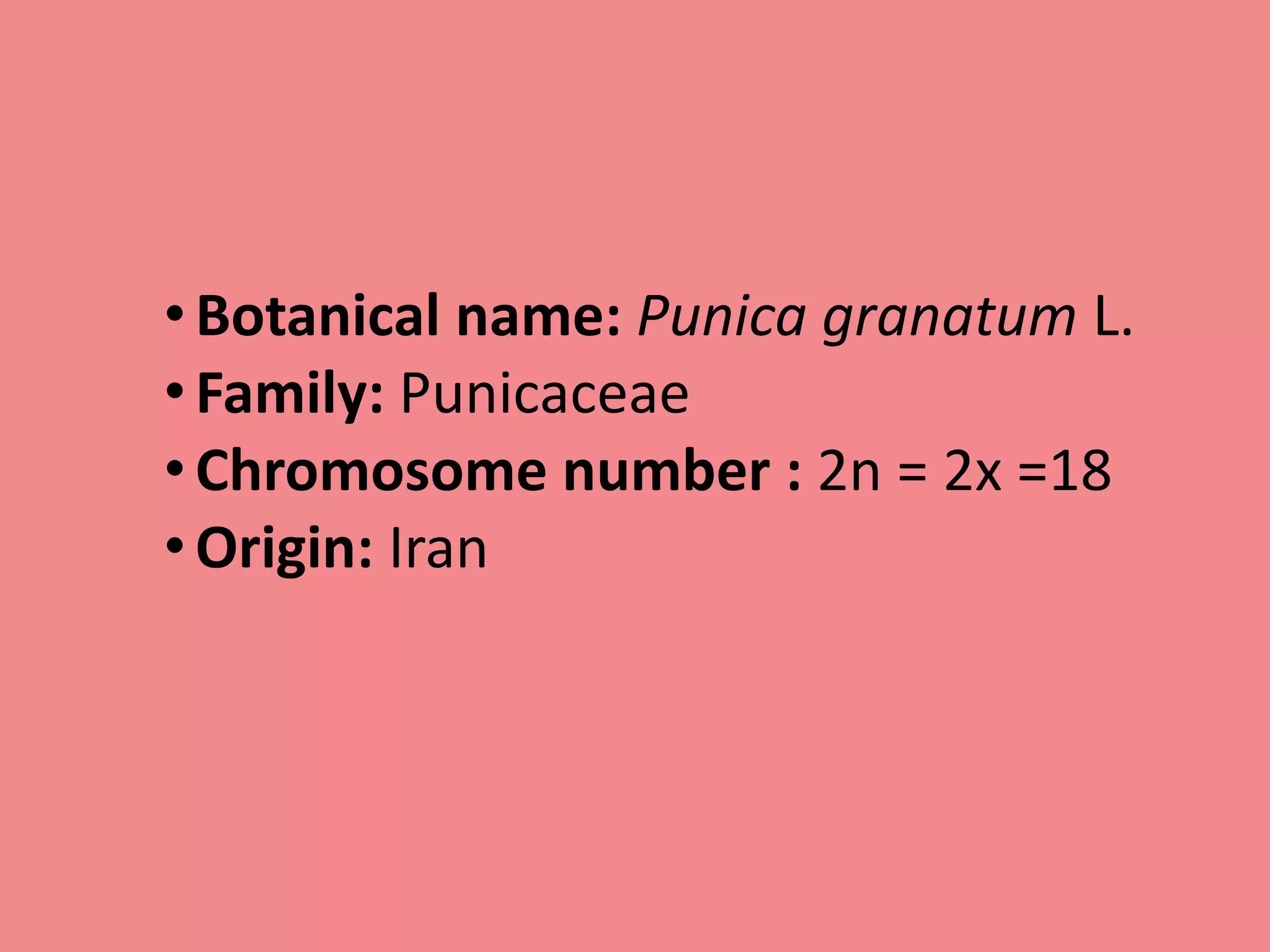 Breeding of pomegranate | PPT