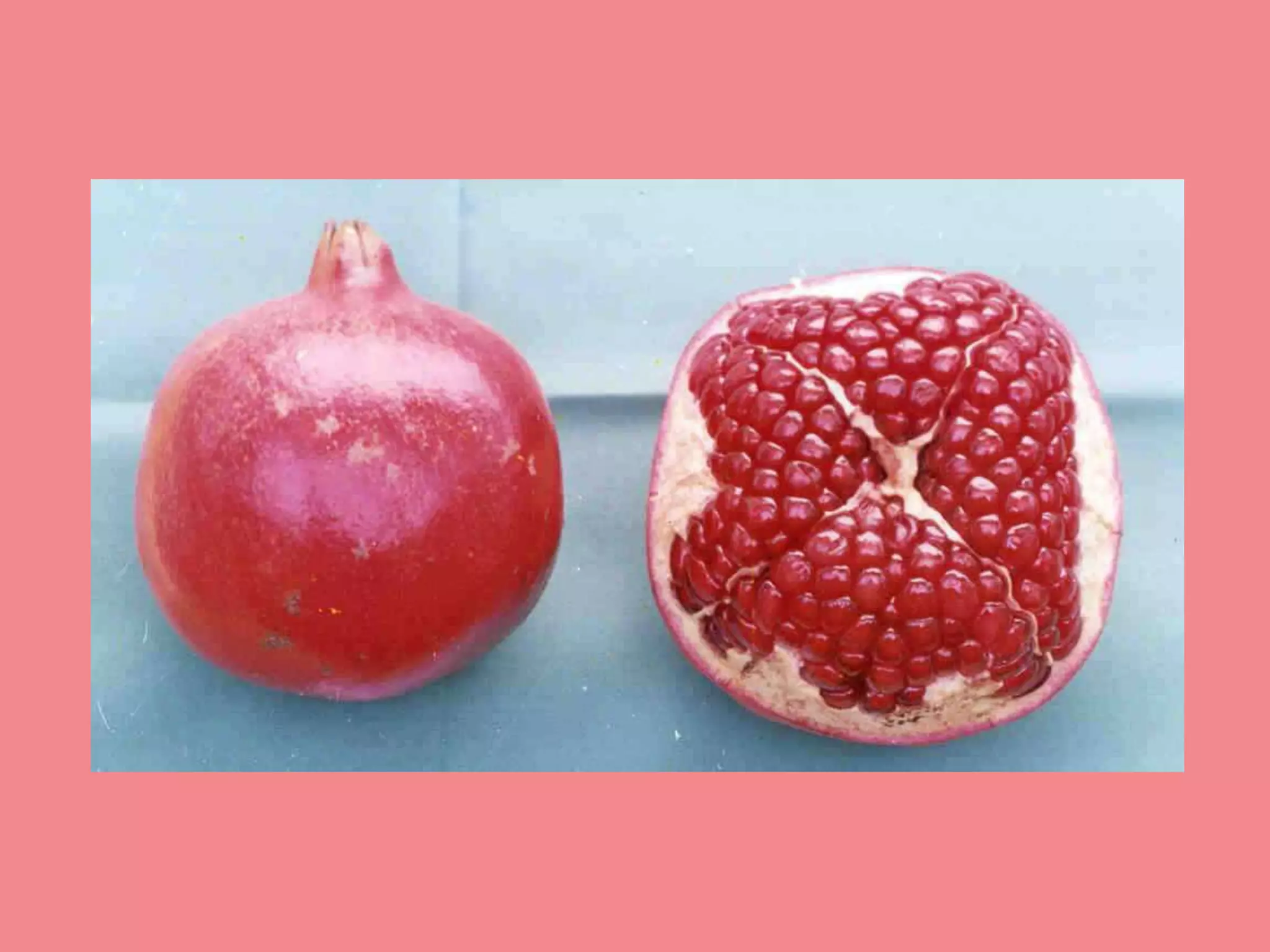 Breeding of pomegranate