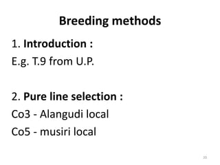 Breeding methods
1. Introduction :
E.g. T.9 from U.P.
2. Pure line selection :
Co3 - Alangudi local
Co5 - musiri local
20
 