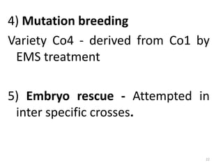 4) Mutation breeding
Variety Co4 - derived from Co1 by
EMS treatment
5) Embryo rescue - Attempted in
inter specific crosses.
22
 