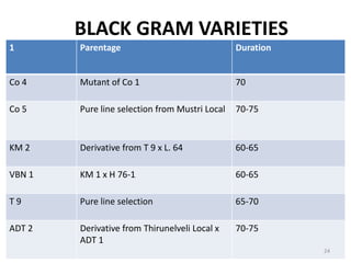 BLACK GRAM VARIETIES
1 Parentage Duration
Co 4 Mutant of Co 1 70
Co 5 Pure line selection from Mustri Local 70-75
KM 2 Derivative from T 9 x L. 64 60-65
VBN 1 KM 1 x H 76-1 60-65
T 9 Pure line selection 65-70
ADT 2 Derivative from Thirunelveli Local x
ADT 1
70-75
24
 