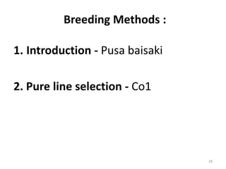 Breeding Methods :
1. Introduction - Pusa baisaki
2. Pure line selection - Co1
28
 