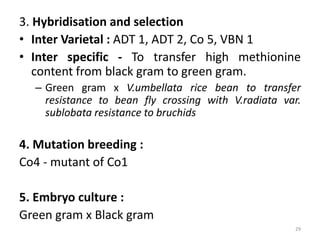 3. Hybridisation and selection
• Inter Varietal : ADT 1, ADT 2, Co 5, VBN 1
• Inter specific - To transfer high methionine
content from black gram to green gram.
– Green gram x V.umbellata rice bean to transfer
resistance to bean fly crossing with V.radiata var.
sublobata resistance to bruchids
4. Mutation breeding :
Co4 - mutant of Co1
5. Embryo culture :
Green gram x Black gram
29
 