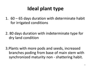 Ideal plant type
1. 60 – 65 days duration with determinate habit
for irrigated conditions
2. 80 days duration with indeterminate type for
dry land condition
3.Plants with more pods and seeds, increased
branches poding from base of main stem with
synchronized maturity non - shattering habit.
30
 