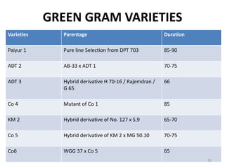 GREEN GRAM VARIETIES
Varieties Parentage Duration
Paiyur 1 Pure line Selection from DPT 703 85-90
ADT 2 AB-33 x ADT 1 70-75
ADT 3 Hybrid derivative H 70-16 / Rajemdran /
G 65
66
Co 4 Mutant of Co 1 85
KM 2 Hybrid derivative of No. 127 x S.9 65-70
Co 5 Hybrid derivative of KM 2 x MG 50.10 70-75
Co6 WGG 37 x Co 5 65
31
 
