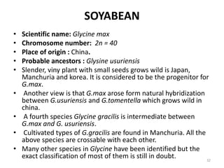 SOYABEAN
• Scientific name: Glycine max
• Chromosome number: 2n = 40
• Place of origin : China.
• Probable ancestors : Glysine usuriensis
• Slender, viny plant with small seeds grows wild is Japan,
Manchuria and korea. It is considered to be the progenitor for
G.max.
• Another view is that G.max arose form natural hybridization
between G.usuriensis and G.tomentella which grows wild in
china.
• A fourth species Glycine gracilis is intermediate between
G.max and G. usuriensis.
• Cultivated types of G.gracilis are found in Manchuria. All the
above species are crossable with each other.
• Many other species in Glycine have been identified but the
exact classification of most of them is still in doubt. 32
 
