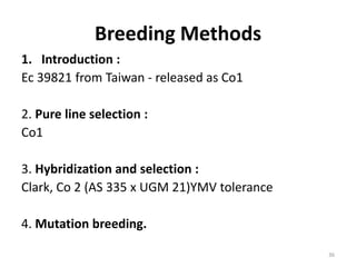 Breeding Methods
1. Introduction :
Ec 39821 from Taiwan - released as Co1
2. Pure line selection :
Co1
3. Hybridization and selection :
Clark, Co 2 (AS 335 x UGM 21)YMV tolerance
4. Mutation breeding.
36
 