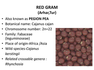 RED GRAM
(Arhar,Tur)
• Also known as PEGION PEA
• Botanical name: Cajanus cajan
• Chromosome number: 2n=22
• Family: Fabaceae
(leguminoseae)
• Place of origin-Africa /Asia
• Wild species-Cajanus
kerstingii
• Related crossable genera :
Rhynchosia
4
 