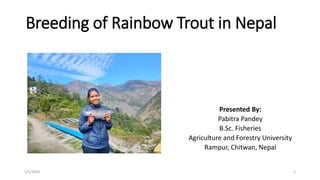 Breeding of Rainbow Trout in Nepal
Presented By:
Pabitra Pandey
B.Sc. Fisheries
Agriculture and Forestry University
Rampur, Chitwan, Nepal
1/5/2024 1
 