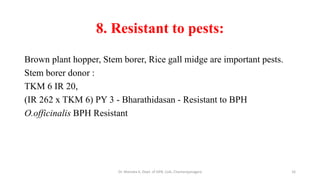 Officinalis Rice Breeding of rice | PDF