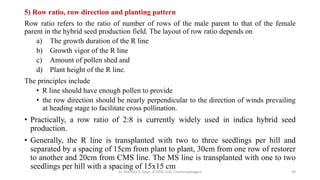 Breeding of rice | PDF