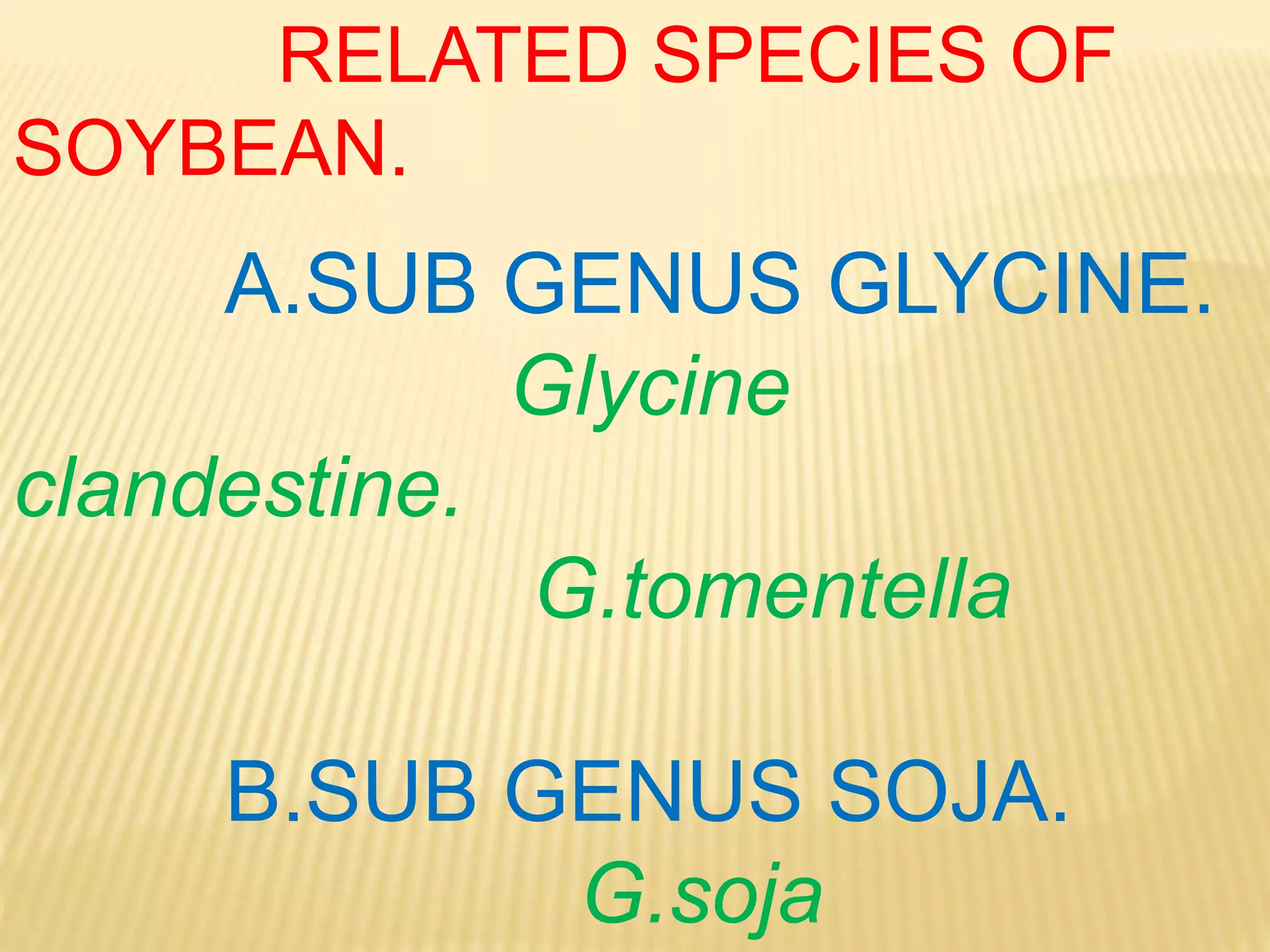 RELATED SPECIES OF
SOYBEAN.
A.SUB GENUS GLYCINE.
Glycine
clandestine.
G.tomentella
B.SUB GENUS SOJA.
G.soja
 