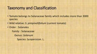 Tomato Classification Genetics and Breeding of Tomato (Prabesh_Koirala).pptx