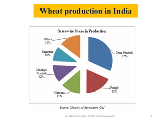 Wheat production in India
11Dr. Mamata K, Dept. of GPB, Chamarajanagara
 
