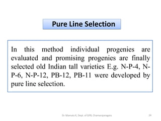 Pure Line Selection
In this method individual progenies are
evaluated and promising progenies are finally
selected old Indian tall varieties E.g. N-P-4, N-
P-6, N-P-12, PB-12, PB-11 were developed by
pure line selection.
24Dr. Mamata K, Dept. of GPB, Chamarajanagara
 