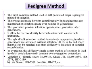 • The most common method used in self pollinated crops is pedigree
method of selection.
• The crosses are made between complimentary lines and records are
maintained of selections made over number of generations.
• The procedure provide selection opportunities generation after
generations.
• It allow breeder to identify bet combination with considerable
uniformity.
• The hybrid bulk selection method is relatively inexpensive, in which
generations are advanced without selection till F5 to F6 and much
material can be handled, nut often difficulty is isolation of superior
recombination.
• To overcome, this difficulty single decent method of selection is used
in which population remain constant over segregation generations.
• Varieties: a) Tilmely sown: NIAW-34, NIAW-301, NIAW-2496, HD-
2278, HD-2189.
b) Late Sown : HD-2501, Sonalika, HI-977, etc.
25
Pedigree Method
Dr. Mamata K, Dept. of GPB, Chamarajanagara
 