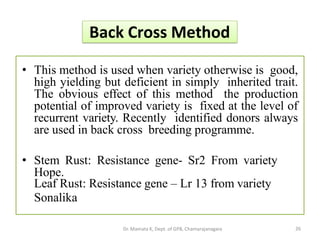 Back Cross Method
• This method is used when variety otherwise is good,
high yielding but deficient in simply inherited trait.
The obvious effect of this method the production
potential of improved variety is fixed at the level of
recurrent variety. Recently identified donors always
are used in back cross breeding programme.
• Stem Rust: Resistance gene- Sr2 From variety
Hope.
Leaf Rust: Resistance gene – Lr 13 from variety
Sonalika
26Dr. Mamata K, Dept. of GPB, Chamarajanagara
 