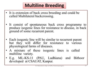 Multiline Breeding
• It is extension of back cross breeding and could be
called Multilateral backcrossing.
• It consist of spontaneous back cross programme to
produce isogenic lines for resistance to disease, in back
ground of some recurrent parent.
• Each isogenic line will be similar to recurrent parent
but they will differ for resistance to various
physiological farms of diseases.
• A mixture of these isogenic lines is called
multiline variety.
• E.g. ML-KS-11 (PAU, Ludhiana) and Bithoor
developed at CSAUAT, Kanpur.
27Dr. Mamata K, Dept. of GPB, Chamarajanagara
 