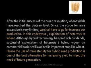 30Dr. Mamata K, Dept. of GPB, Chamarajanagara
 