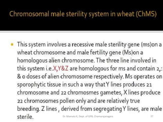 37Dr. Mamata K, Dept. of GPB, Chamarajanagara
 