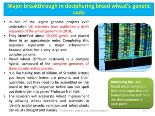Major breakthrough in deciphering bread wheat’s genetic
code
• In one of the largest genome projects ever
undertaken UK scientists have published a draft
sequence of the wheat genome in 2018.
• They identified about 96,000 genes and placed
them in an approximate order. Completing this
sequence represents a major achievement
because wheat has a very large and
complex genome.
• Bread wheat (Triticum aestivum) is a complex
hybrid, composed of the complete genomes of
three closely related grasses.
• It is like having tens of billions of Scrabble letters;
you know which letters are present, and their
quantities, but they need to be assembled on the
board in the right sequence before you can spell
out their order into genes’ Professor Neil Hall.
• The research will accelerate wheat improvement
by allowing wheat breeders and scientists to
identify useful genetic variation and select plants
can resists drought and disease.
Interesting fact: The
bread wheat genome is
five times larger than the
human genome and there
are three genomes in
each plant.
4542Dr. Mamata K, Dept. of GPB, Chamarajanagara
 