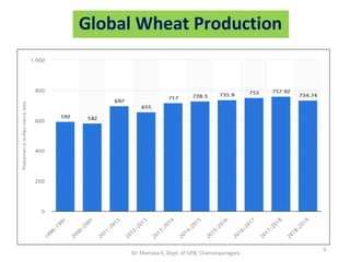 Global Wheat Production
9
Dr. Mamata K, Dept. of GPB, Chamarajanagara
 