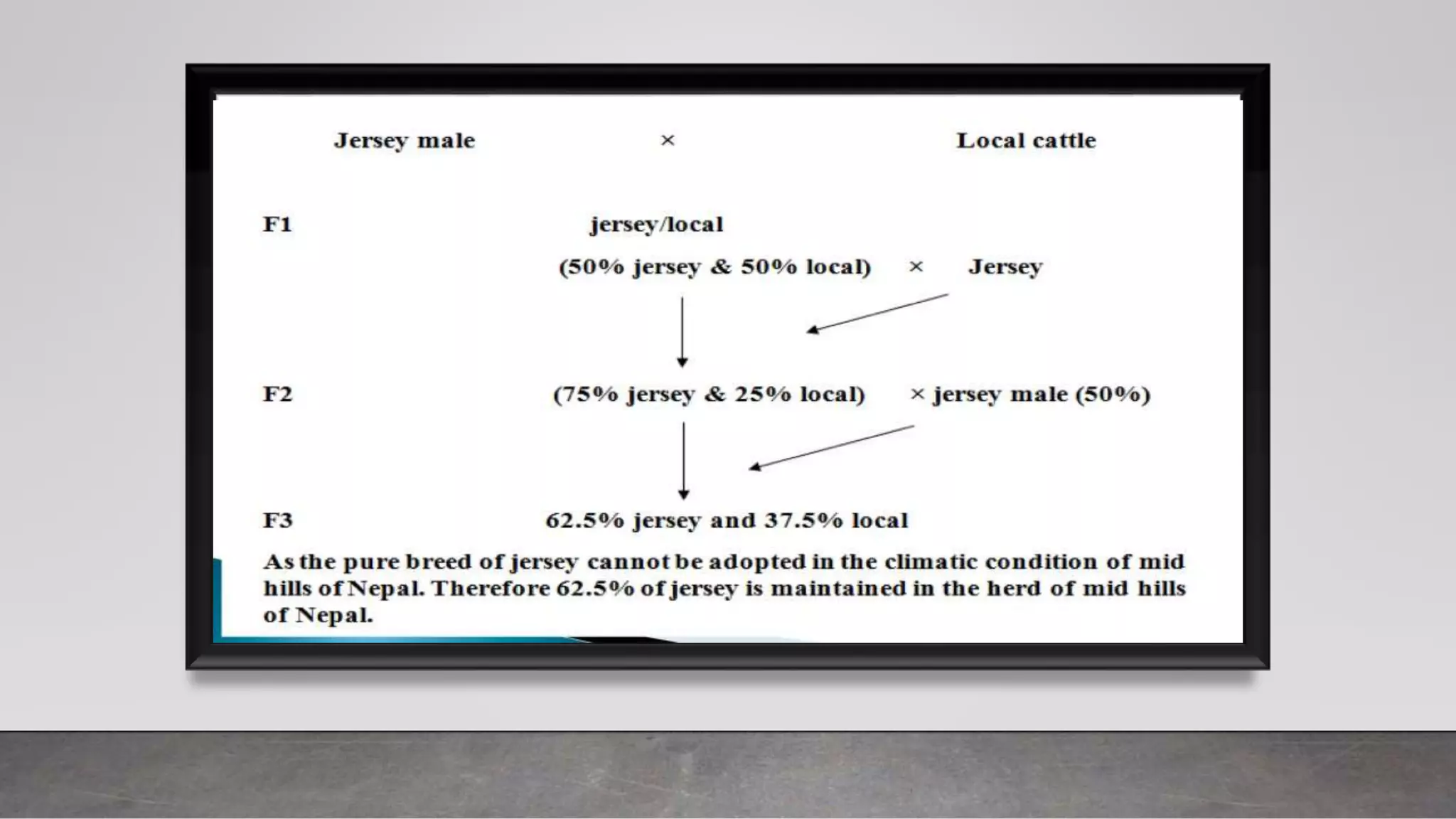 Image showcasing Breeding plan.pptx