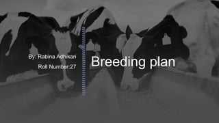 Breeding plan
By: Rabina Adhikari
Roll Number:27
 