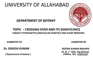 UNIVERSITY OF ALLAHABAD
TOPIC - CROSSING OVER AND ITS SIGNIFICANCE
SUBJECT-CYTOGENETICS,MOLECULAR GENETICS AND PLANT BREEDING
SUBMITED TO SUBMITED BY
Dr. GIRJESH KUMAR DEEPAK KUMAR MAURYA
M .SC 1ST SEM. (Ag.Botany)
( Department of botany ) ENROLL. NO. U1875119
DEPARTMENT OF BOTANY
 