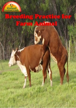 Breeding Practice for
Farm Animal
 