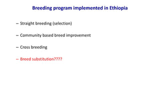 Breeding program options.pptx