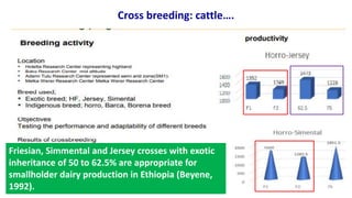 Breeding program options.pptx