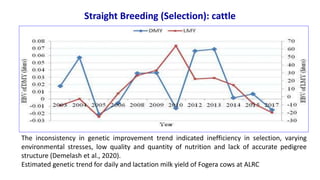 Breeding program options.pptx