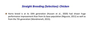Breeding program options.pptx