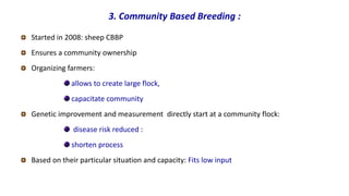 Breeding program options.pptx