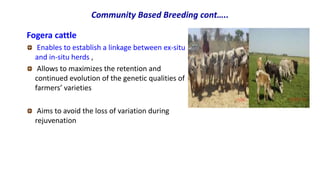 Breeding program options.pptx