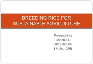 Presented by
Dhanuja N
2019508005
I M.Sc., GPB
BREEDING RICE FOR
SUSTAINABLE AGRICULTURE
 