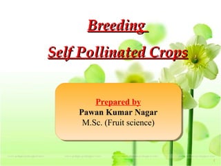 1
Prepared by
Pawan Kumar Nagar
M.Sc. (Fruit science)
Prepared by
Pawan Kumar Nagar
M.Sc. (Fruit science)
BreedingBreeding
Self Pollinated CropsSelf Pollinated Crops
 