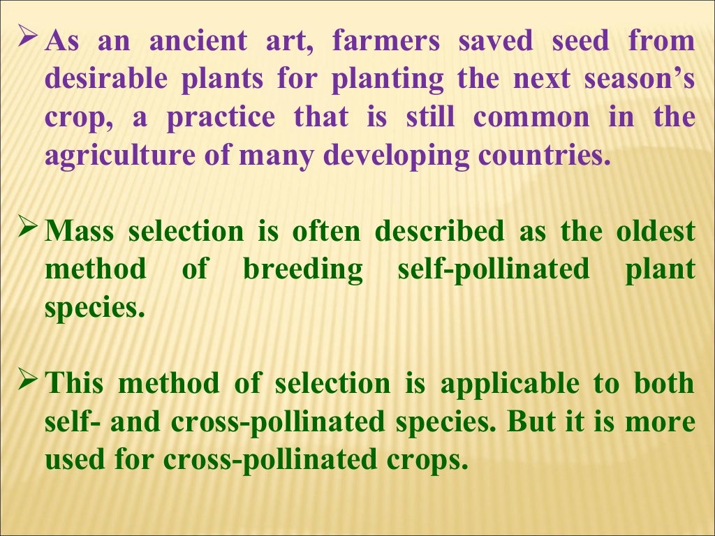 Breeding self pollinated crops