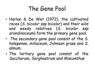 The Gene Pool
• Harlan & De Wet (1972), the cultivated
races (S. bicolor ssp bicolor) and their wild
and weedy relatives (S. bicolor ssp
arundinaceum) form the primary gene pool.
• The secondary gene pool consist of the S.
halepense, miliaceum, Johnson grass and S.
almum.
• The tertiary gene pool consist of the
Saccharum, Sorghastrum and Miscanthus
 