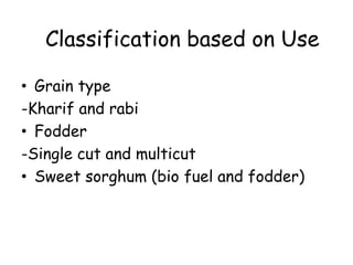 • Grain type
-Kharif and rabi
• Fodder
-Single cut and multicut
• Sweet sorghum (bio fuel and fodder)
Classification based on Use
 