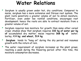 Water Relations
• Sorghum is usually grown under hot, dry conditions. Compared to
maize, sorghum has a more extensive and fibrous root system. The
plant roots penetrate a greater volume of soil to obtain moisture.
Fertilizer, even under low rainfall conditions, encourages root
development; hence the roots are able to extract moisture from a
greater volume of soil.
• Sorghum requires less moisture for growth than some other cereal
crops: studies show that sorghum requires 332 kg of water per kg
of accumulated dry matter; maize requires 368 kg of water;
barley, 434 kg; and wheat, 514 kg
• Sorghum tends to "hang on" during the dry period and resumes
growth with the return of rain.
• The water requirement of sorghum increases as the plant grows,
reaching a peak during the flowering period: after this time, the
moisture consumption decreases.
 