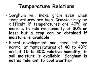 Temperature Relations
• Sorghum will make grain even when
temperatures are high. Crossing may be
difficult if temperatures are 40⁰C or
more, with relative humidity of 30% or
less; but a crop can be obtained if
moisture is available
• Floral development and seed set are
normal at temperatures of 40 to 430C
and at 15 to 30% relative humidity, if
soil moisture is available. Sorghum is
not as tolerant to cool weather
 