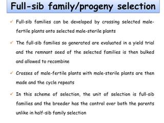 Full-sib family/progeny selection
 Full-sib families can be developed by crossing selected male-
fertile plants onto selected male-sterile plants
 The full-sib families so generated are evaluated in a yield trial
and the remnant seed of the selected families is then bulked
and allowed to recombine
 Crosses of male-fertile plants with male-sterile plants are then
made and the cycle repeats
 In this scheme of selection, the unit of selection is full-sib
families and the breeder has the control over both the parents
unlike in half-sib family selection
 