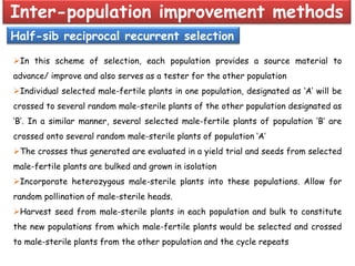 Inter-population improvement methods
Half-sib reciprocal recurrent selection
In this scheme of selection, each population provides a source material to
advance/ improve and also serves as a tester for the other population
Individual selected male-fertile plants in one population, designated as ‘A’ will be
crossed to several random male-sterile plants of the other population designated as
‘B’. In a similar manner, several selected male-fertile plants of population ‘B’ are
crossed onto several random male-sterile plants of population ‘A’
The crosses thus generated are evaluated in a yield trial and seeds from selected
male-fertile plants are bulked and grown in isolation
Incorporate heterozygous male-sterile plants into these populations. Allow for
random pollination of male-sterile heads.
Harvest seed from male-sterile plants in each population and bulk to constitute
the new populations from which male-fertile plants would be selected and crossed
to male-sterile plants from the other population and the cycle repeats
 