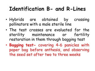 Identification B- and R-Lines
• Hybrids are obtained by crossing
pollinators with a male sterile line
• The test crosses are evaluated for the
sterility maintenance or fertility
restoration in them through bagging test
• Bagging test- covering 4-6 panicles with
paper bag before anthesis, and observing
the seed set after two to three weeks
 